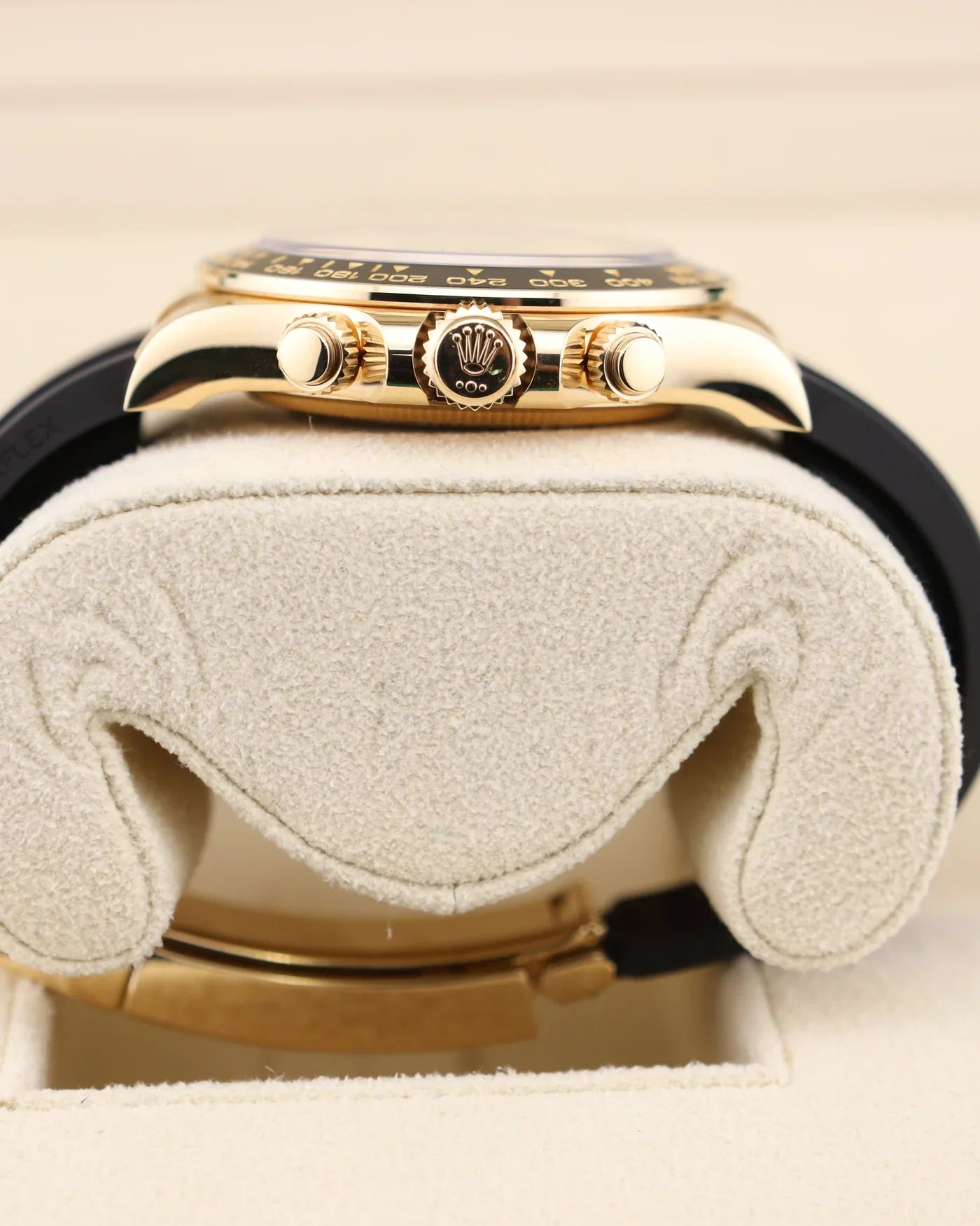 DAYTONA Champagne Oysterflex