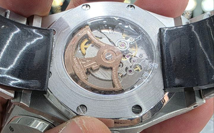 SKELETON Stainless steal